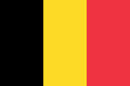 Belgian flag with vertical stripes colored black, yellow, and red from left to right.