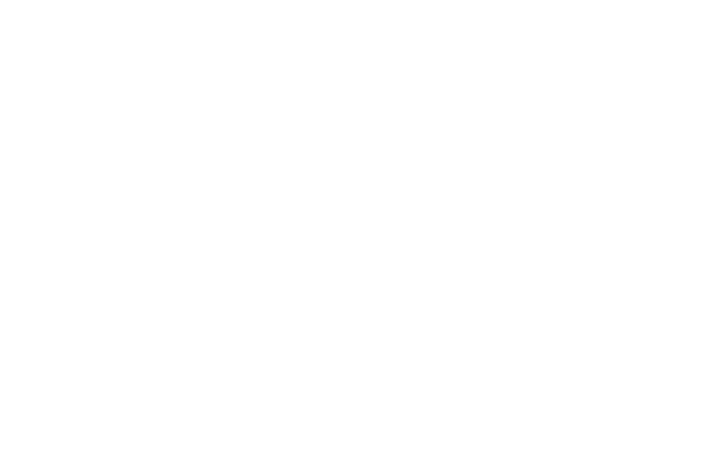 Graphic logo with a stylized dome silhouette above the letters 'nes' on a black background.