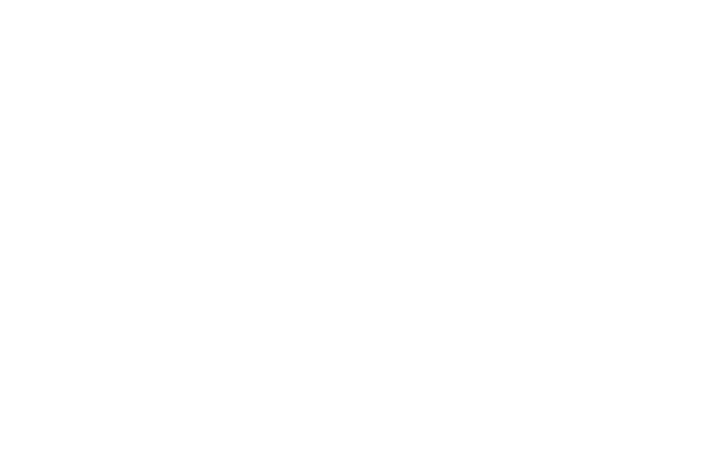 Bna nashville international airport logo on a black background.