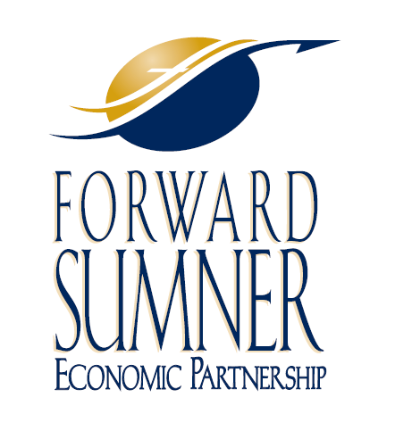 A logo with stylized text reading "forward sumner economic partnership," featuring an abstract design of a swoosh representing motion and a sun or planet in gold and blue tones.