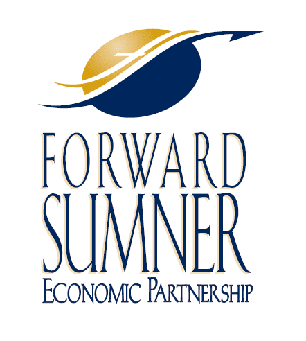 A logo with stylized text reading "forward sumner economic partnership," featuring an abstract design of a swoosh representing motion and a sun or planet in gold and blue tones.